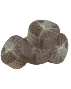 CITY checker 50g - cheap price - buy-pharm.com
