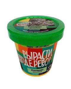 Arizona Cypress set 0.5l - cheap price - buy-pharm.com