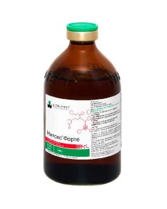 Nitox forte 100ml - cheap price - buy-pharm.com