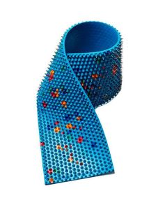 Buy Lyapko applicator 'Double' blue (needle pitch 6.2 mm  size 105 x 460 mm) | Online Pharmacy | https://buy-pharm.com