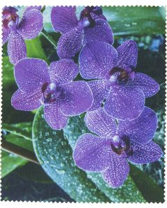 Buy Cloth for glasses | Online Pharmacy | https://buy-pharm.com