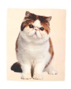 Buy Glasses wipes T 23 | Online Pharmacy | https://buy-pharm.com