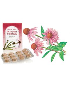 Buy Doctor Theiss tablets with Echinacea extract No. 24 | Online Pharmacy | https://buy-pharm.com