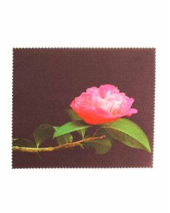 Buy Wipes for MOST 11 glasses | Online Pharmacy | https://buy-pharm.com