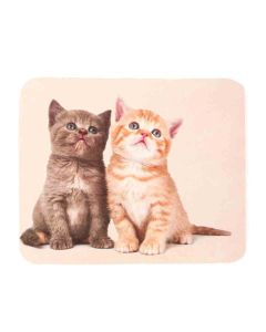 Buy Eyeglass wipes T 41 | Online Pharmacy | https://buy-pharm.com