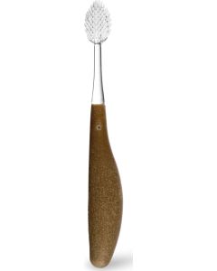 Buy Radius 'Toothbrush Source M' toothbrush, brown , medium | Online Pharmacy | https://buy-pharm.com