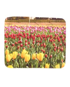 Buy glasses for glasses T 59 | Online Pharmacy | https://buy-pharm.com