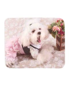 Buy Spectacle towels T 50 | Online Pharmacy | https://buy-pharm.com