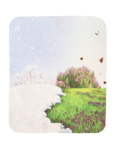 Buy Eyeglass towels T 56 | Online Pharmacy | https://buy-pharm.com