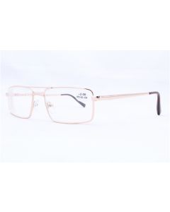 Buy Ready-made glasses for vision Discovever 002 (gold) | Online Pharmacy | https://buy-pharm.com