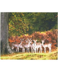 Buy Cloth for glasses | Online Pharmacy | https://buy-pharm.com