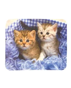 Buy Glasses wipes T 57 | Online Pharmacy | https://buy-pharm.com