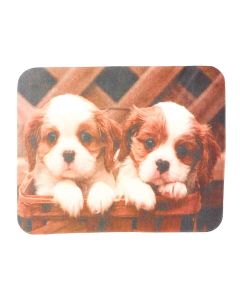 Buy Eyeglass wipes T 46 | Online Pharmacy | https://buy-pharm.com