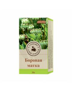 Borovaya uterus medicinal plant raw materials BAA, 30g | Buy Online