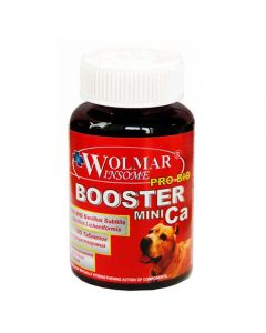 Wolmar Winsome Pro Bio Booster Ca Mini 180 tablets - cheap price - buy-pharm.com