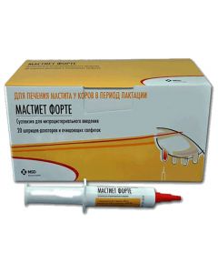 Mastiet Forte 1 syringe 8g - cheap price - buy-pharm.com
