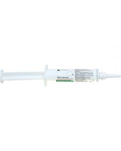Mastomycin syringe - cheap price - buy-pharm.com