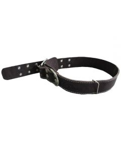 Collar for dogs of large breeds leather double 45mm - cheap price - buy-pharm.com