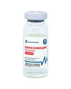 Lincomycin 10% 10ml - cheap price - buy-pharm.com