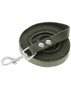 Tarpaulin leash for dogs of medium and large breeds 25mm * 7m - cheap price - buy-pharm.com