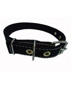 Collar for dogs canvas double 25mm - cheap price - buy-pharm.com