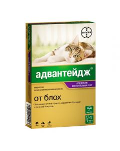 Advantage 80 drops from fleas for cats over 4 kg 4 pipettes, 0.8 ml each - cheap price - buy-pharm.com