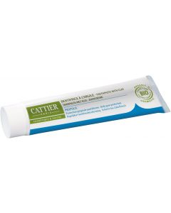 Buy Dentargil toothpaste with propolis for gum protection # CATTIER, 75 ml  | Online Pharmacy | https://buy-pharm.com