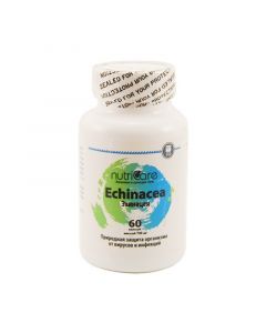 Buy Echinacea for strengthening the immune system, 60 caps, Nutricare International Inc. (USA) | Online Pharmacy | https://buy-pharm.com
