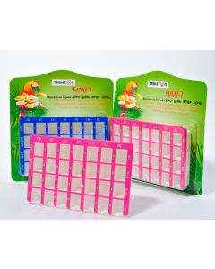 Buy Tableton Maxi 7 pill container for 7 days (4 doses) 14cm x 2cm x 9cm | Online Pharmacy | https://buy-pharm.com