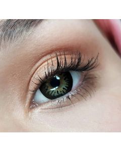 Buy ILLUSION shine colored contact lenses 3 months, -2.00 / 14.0 / 8.6, black, 2 pcs. | Online Pharmacy | https://buy-pharm.com