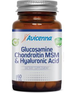 Buy Avicenna Glucosamine Chondroitin MSM Gialouranovaya acid and 60 tablets of 1150 mg | Online Pharmacy | https://buy-pharm.com