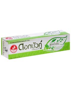 Buy Twin Lotus Toothpaste 'Herbal Original' With herbs original, 100 g | Online Pharmacy | https://buy-pharm.com