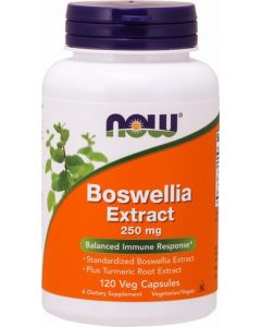 Buy Now Foods Boswellia 120 capsules, 250 mg (dietary supplement) | Online Pharmacy | https://buy-pharm.com