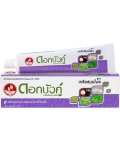 Buy Twin Lotus Toothpaste' Herbal Plus Salt 'with herbs and salt, 90 g | Online Pharmacy | https://buy-pharm.com