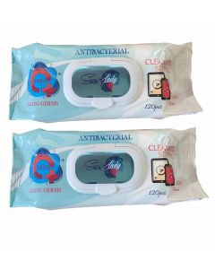 Buy Snow Lady antibacterial wipes 120 pcs. 2 pack. | Online Pharmacy | https://buy-pharm.com