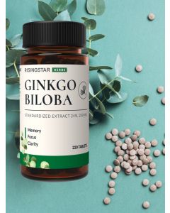 Buy Hygko biloba leaf extract, vitamins for the brain and nervous system, memory improvement and attention, tab. 220 | Online Pharmacy | https://buy-pharm.com