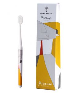 Buy Picasso's toothbrush from the collection of Abstract Artists  | Online Pharmacy | https://buy-pharm.com