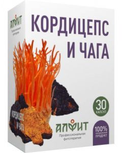 Buy Concentrate on vegetable raw materials 'Cordyceps and chaga' | Online Pharmacy | https://buy-pharm.com