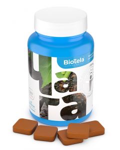 Buy Biotela 'Chaga with cinnamon', concentrate for preparing a drink, 45 briquettes | Online Pharmacy | https://buy-pharm.com