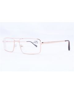 Buy Ready-made glasses for vision Discovever 002 (gold) | Online Pharmacy | https://buy-pharm.com