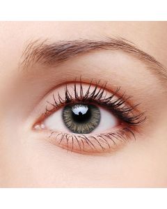 Buy Techshow W12215 colored contact lenses 365 days / 14.2, gray, brown, 2 pcs. | Online Pharmacy | https://buy-pharm.com