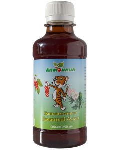 Buy NPK lemongrass. 'Balm-syrup Taiga bouquet' Anti-inflammatory. Fortifying. 250 ml. | Online Pharmacy | https://buy-pharm.com