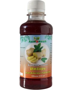 Buy NPK lemongrass. 'Balm-syrup Ginger with taiga herbs' Anti-inflammatory. Fortifying. 250 ml. | Online Pharmacy | https://buy-pharm.com