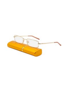 Buy Reading glasses in a case with a napkin and a cord +2.5 | Online Pharmacy | https://buy-pharm.com