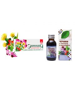 Buy Bioinventics. Complex for immunity 'Echinacea', 40 dragees + Blueberry + rosehip syrup 'Bioinventica', 100 ml. | Online Pharmacy | https://buy-pharm.com