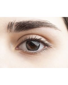 Buy Geo Medical Dark colored contact lenses 12 months, 0.00 / 14.2 / 8.6, dark gray, 2 pcs. | Online Pharmacy | https://buy-pharm.com