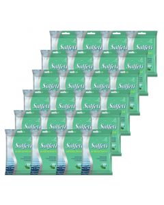 Buy MEGAPAK Salfeti antibacterial wet wipes 20pcs (24) | Online Pharmacy | https://buy-pharm.com