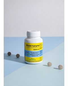 Buy Bactrum 60 to normalize the gastrointestinal tract | Online Pharmacy | https://buy-pharm.com