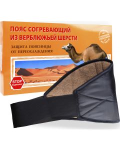 Buy Azovmed Warming belt, anti-radiculitis, made of camel hair. Size 2 / S (44-46) | Online Pharmacy | https://buy-pharm.com
